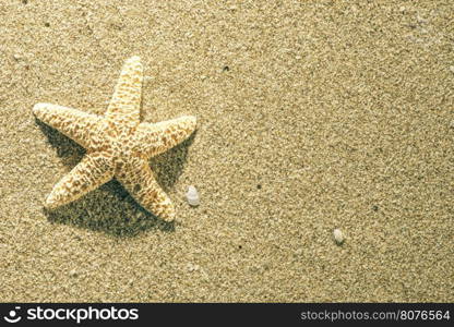 Sunrise on the beach. Starfish