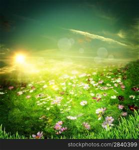 Sunrise on the meadow. Natural abstract backgrounds