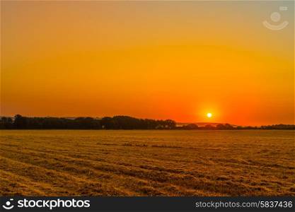 Sunrise over a countryside field in the summertime