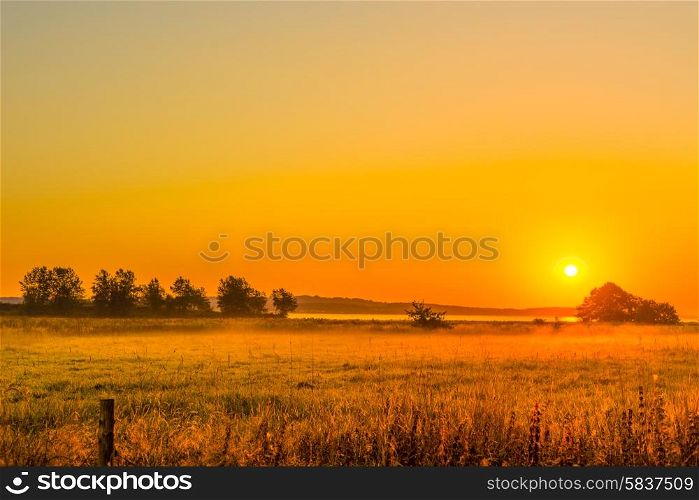 Sunrise over a field with mist in the morning