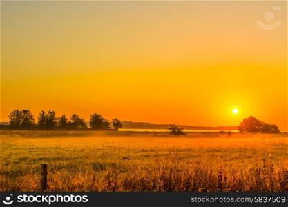 Sunrise over a field with mist in the morning