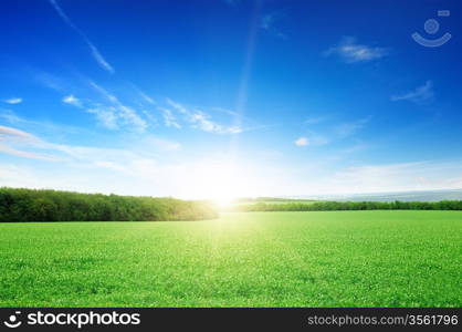 sunrise over a green field