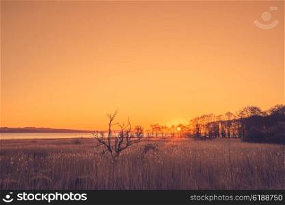 Sunrise over a lake with tree silhouettes
