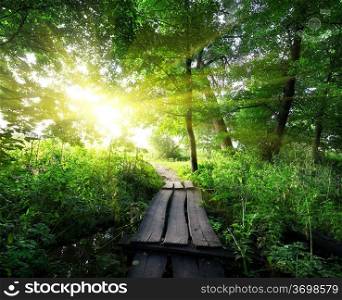 Sunrise over a wooden bridge in the forest