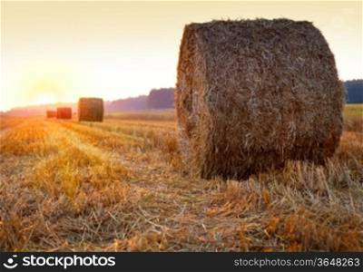 Sunrise over harvested field with hay bales