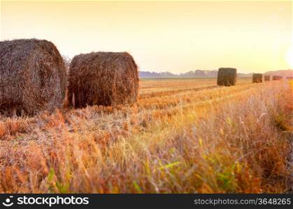 Sunrise over harvested field with hay bales