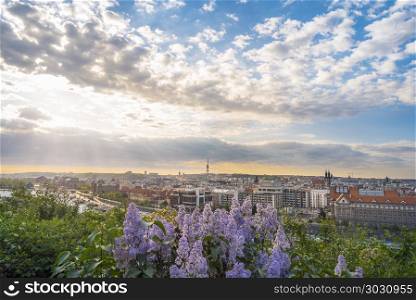Sunrise over Prague city and lilac flowers. Amazing sunrise over the buildings of the old town of Prague city and Vltava river, framed by blooming lilac flowers, in the Czech Republic.