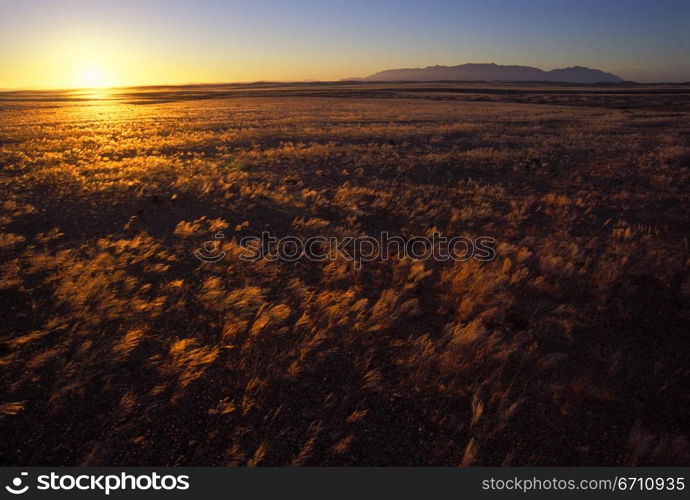 Sunrise over the hills and grasslands of the Damarland region of Namibia, Africa