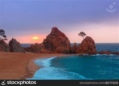 Sunrise over the sea and the beach, in the foreground rocks and trees at Gran Platja beach and Badia de Tossa bay in Tossa de Mar on Costa Brava, Catalunya, Spain