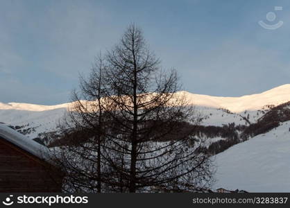 Sunrise scenario in Livigno, Italian Alps with tree, hut and snowy mountains