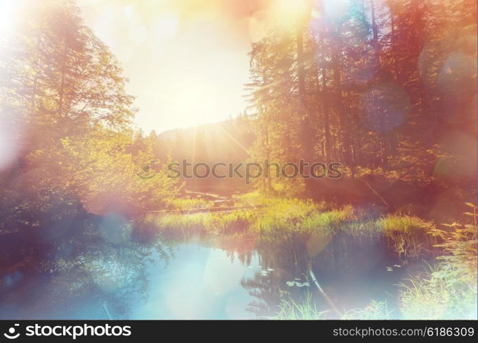 Sunrise scene on lake