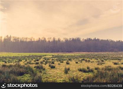 Sunrise scenery with a green field with grass