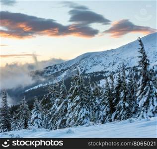 Sunrise winter mountain landscape with clouds and fir trees on slope (Carpathian).