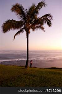 Sunrise with girl by palm tree and looking off into the distance
