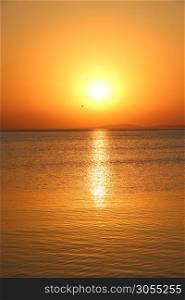 Sunset above sea. Beautiful summer decline above ocean. Beautiful blazing sunset landscape above Red sea and orange sky in early morning. Amazing summer sunset. Sunny trace. Sunset above sea. Beautiful summer decline above ocean