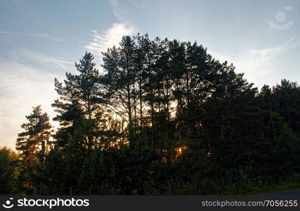 sunset and clouds through the trees in summer. sunset and clouds through the trees in summer, Russia