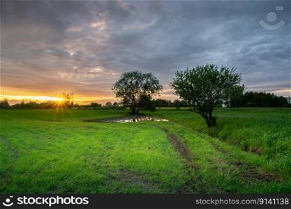 Sunset and evening clouds over green fields with trees, Zarzecze, Poland