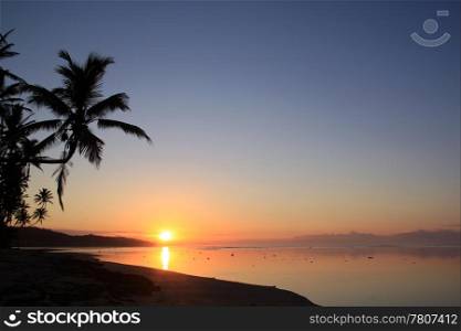 Sunset and palm trees on the beach in Fiji