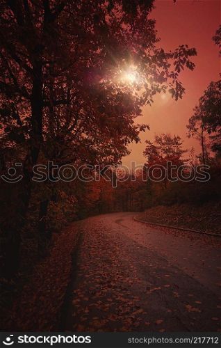 sunset and road