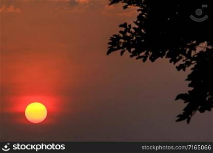 Sunset and silhouettes of tree branches.