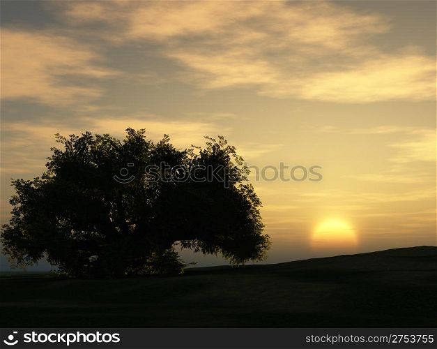 sunset and tree. A field in beams of the coming sun with neeoyoie a tree