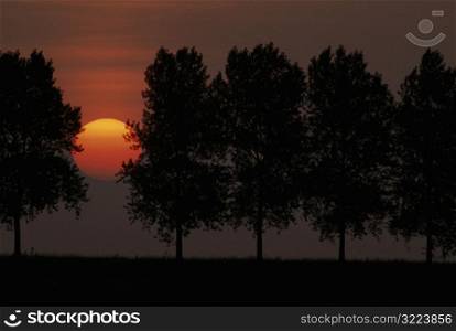 Sunset Behind Trees