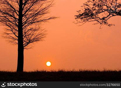 Sunset in a peaceful evening