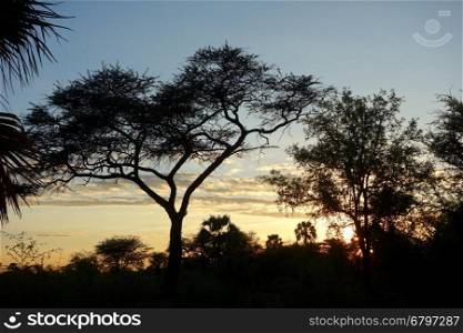 sunset in Africa