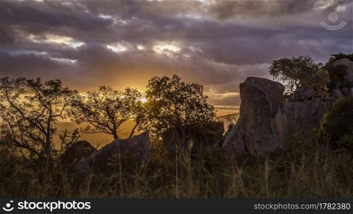 Sunset in boulder scenery n Kruger National park, South Africa. Sunset in Kruger National park, South Africa
