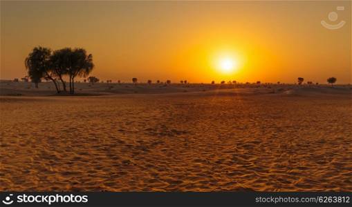 Sunset in the Arabian desert
