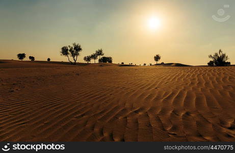 Sunset in the Arabian desert of Dubai