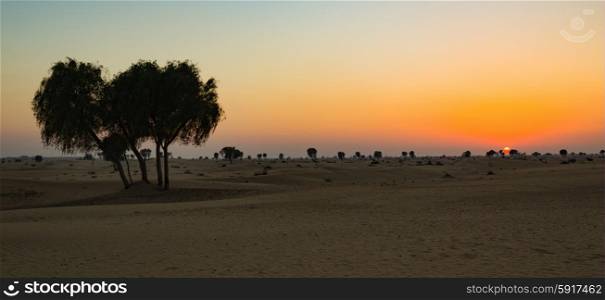 Sunset in the Arabian desert of Dubai