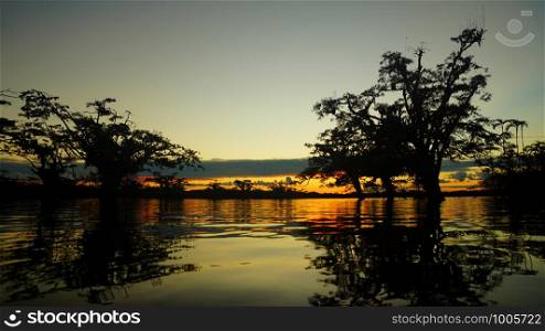 Sunset in the flooded forest inside Cuyabeno lagoon in the Ecuadorian Amazon
