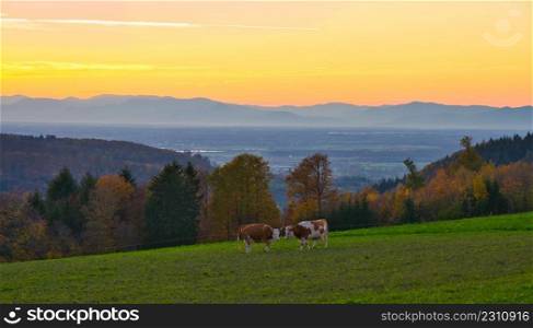 sunset in the heights of the black forest in germany