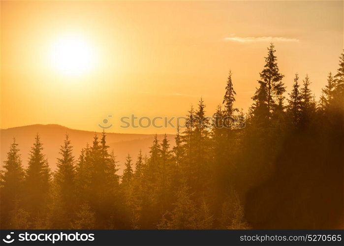 Sunset in the mountains with forest and big shining sun