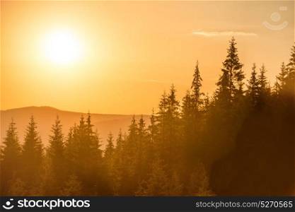 Sunset in the mountains with forest and big shining sun