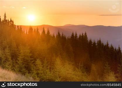 Sunset in the mountains with forest and big shining sun on dramatic sky. Sunset in the mountains