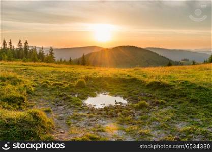 Sunset in the mountains with forest, green grass and big shining sun on dramatic sky. Sunset in the mountains