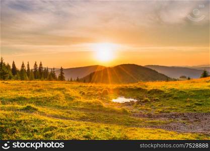 Sunset in the mountains with forest, green grass and big shining sun on dramatic sky