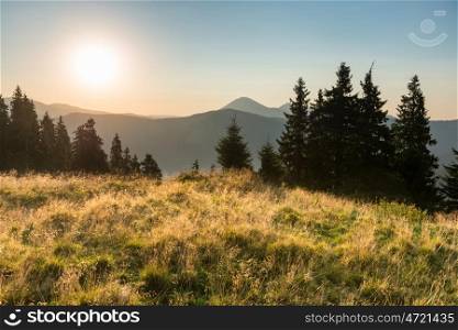Sunset in the mountains with hills, forest and pine trees