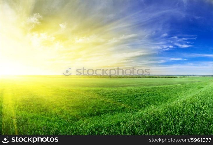 Sunset in the summer in countryside
