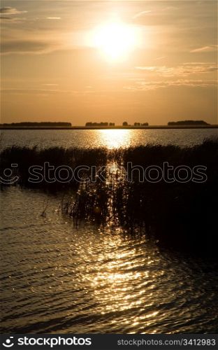 Sunset lake landscape. Chany lake, Novosibirsk area, June 2007