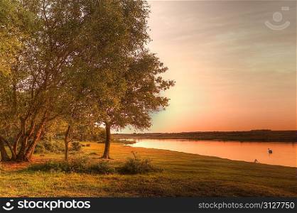 Sunset landscape over lake with swan and golden glow