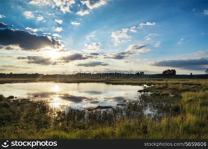 Sunset landscape over wetlands in Summer