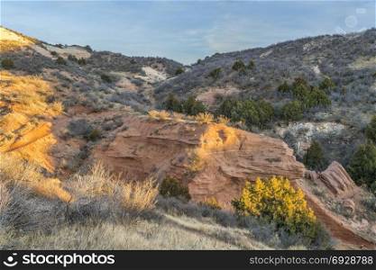 Sunset light over arroyo and single track trail (Salt Lick) in Red Mountain Open Space in northern Colorado l