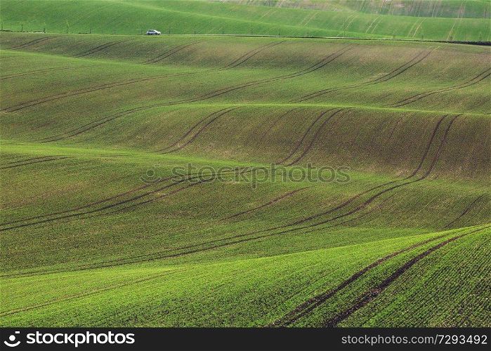Sunset lines and waves in the spring, South Moravia, Czech Republic. sunset lines and waves in the spring