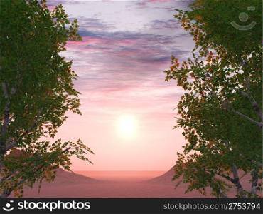 Sunset on a background of foliage of trees and two oieii in a distance
