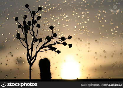 sunset on a raindrops window nature background