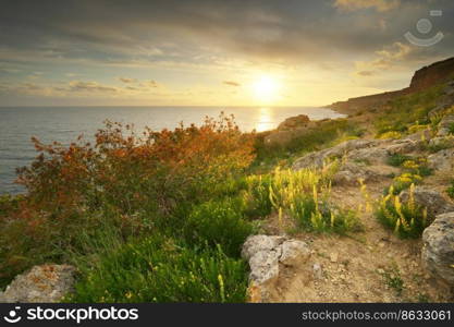 Sunset on cliffs. Beautiful summer nature and sea landscape. Relax composition.