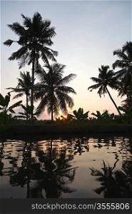 Sunset on Kerala backwaters. Kerala, India
